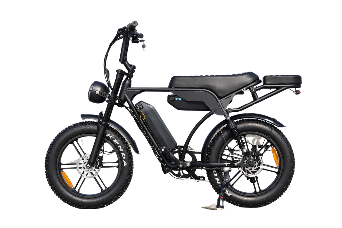 Rear view of electric bike with dual battery system and rear seat, perfect e-bike for parents riding with children or extra cargo.