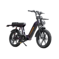 AU-certified removable 48V battery of the D50 Step-Through electric bike.
