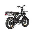 Enjoy the E-Bike for both commuting and leisure, equipped with a 500W motor and capable of up to 60 km per charge.