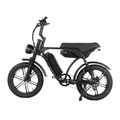 Side view of the E-Bike, showcasing its sleek design, 250W/500W motor and dual battery system for up to 120 km range.