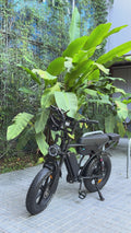 Vortex 20 Plus fat tyre E-Bike displayed in a tropical Byron Bay setting.