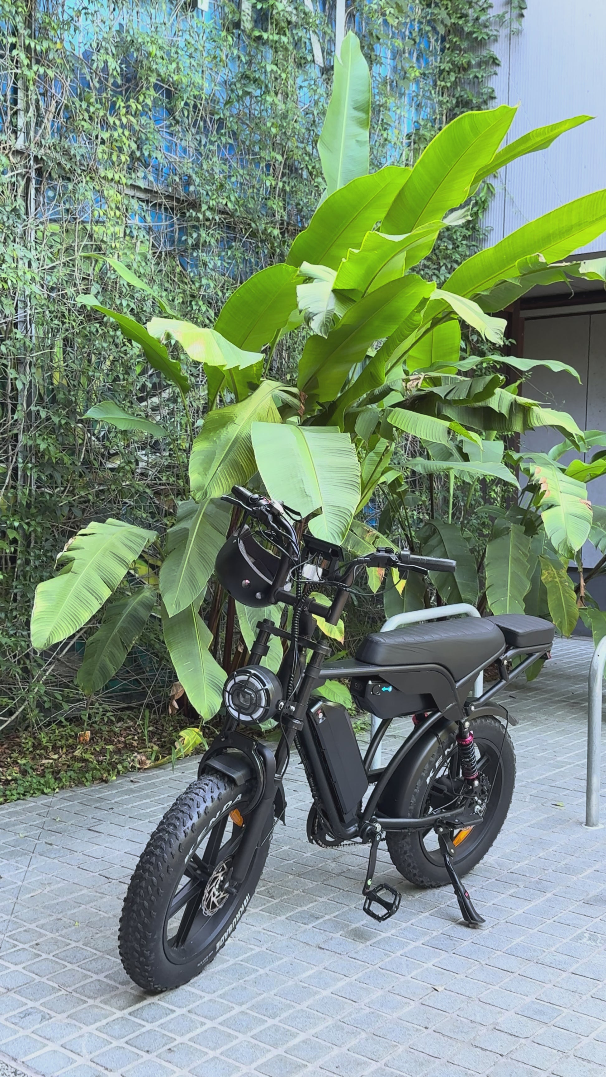 Vortex 20 Plus fat tyre E-Bike displayed in a tropical Byron Bay setting.