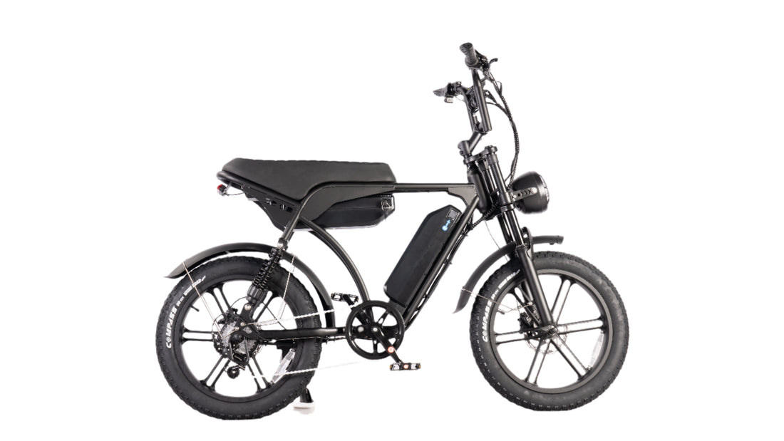 Side view of the E-Bike, showcasing its sleek design, 250W/500W motor, and dual battery system for up to 120 km range.